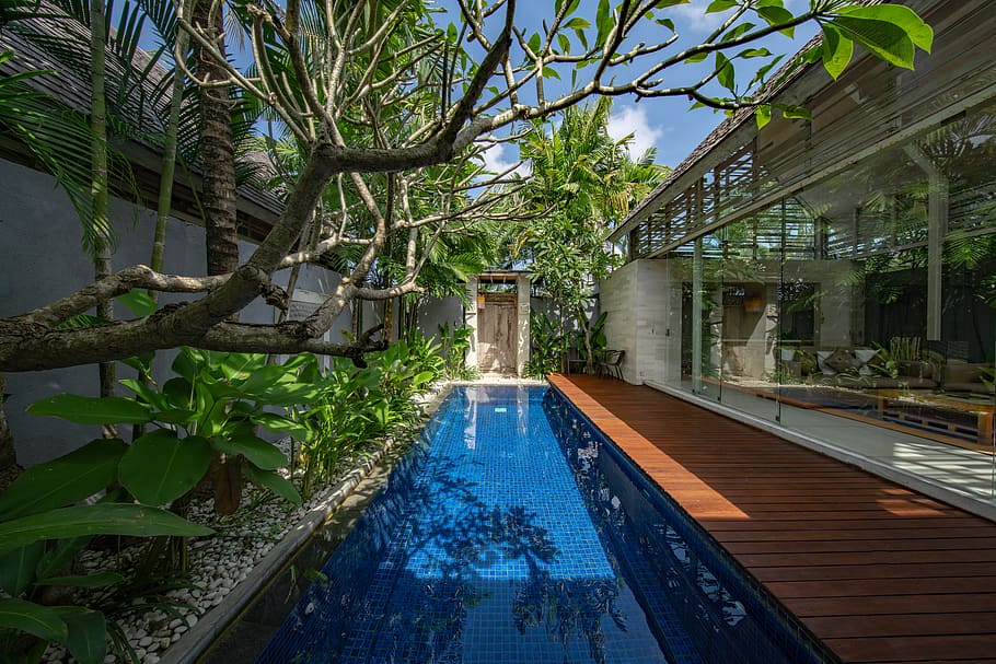 clean swimming pool near green leafed tree, potted plant, jar