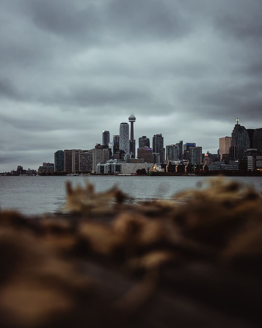 space needle, urban, city, nature, building, office building HD wallpaper