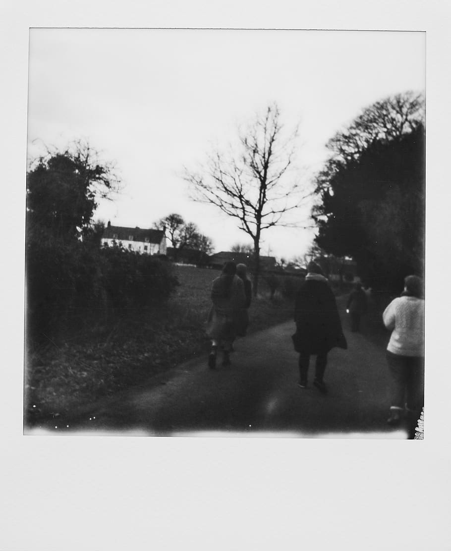 polaroid, human, person, pedestrian, plant, vegetation, clothing HD wallpaper