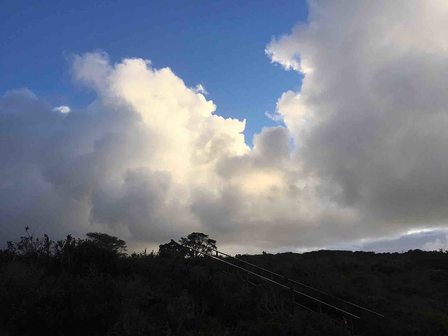 cloud burst, sky, white, cloud - sky, tree, plant, beauty in nature HD wallpaper