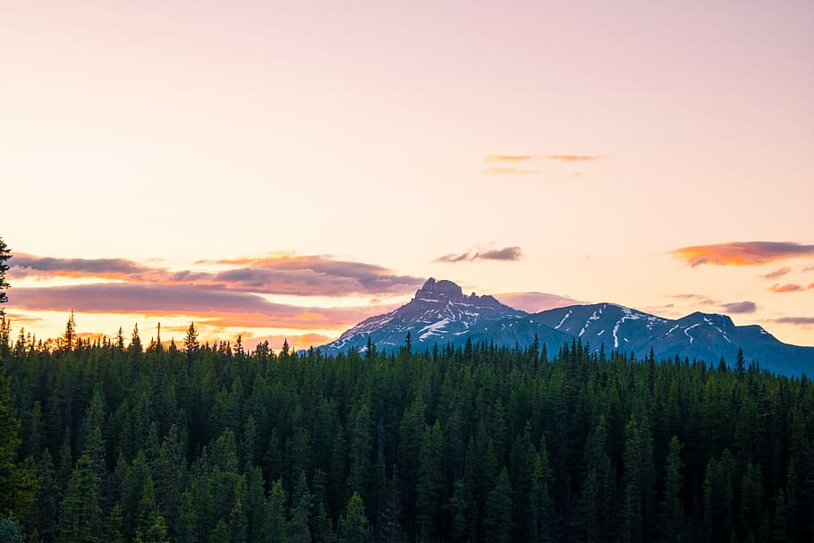 canada, banff, clouds, landscape, nature, trees, wallpaper HD wallpaper