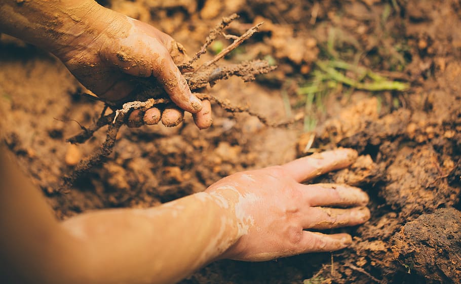 Person Holding Sticks Digging Mud Soil, dirty, ground, hand, human hand HD wallpaper