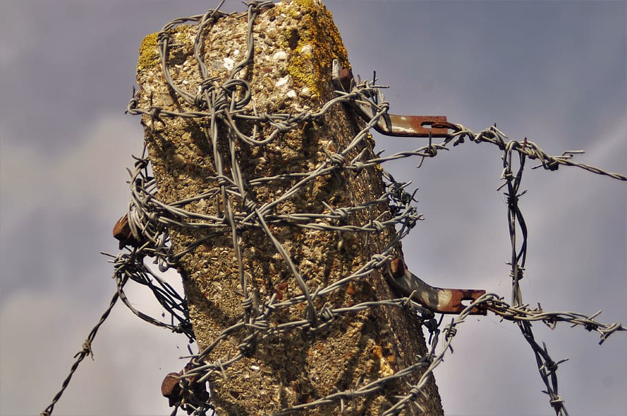barbed wire, post, fence, barrier, rusty, sky, nature, day HD wallpaper