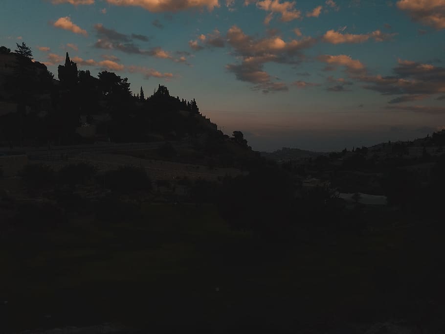 israel, jerusalem, sunset, trees, pink, sky, cloud - sky, nature HD wallpaper