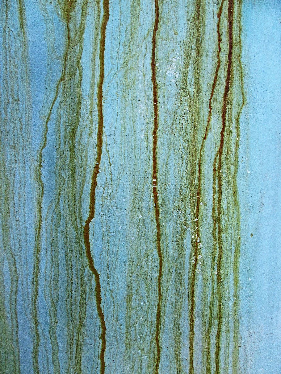 cracked wall, rug, wood, stain, plant, texture, mold, rust, plywood HD wallpaper