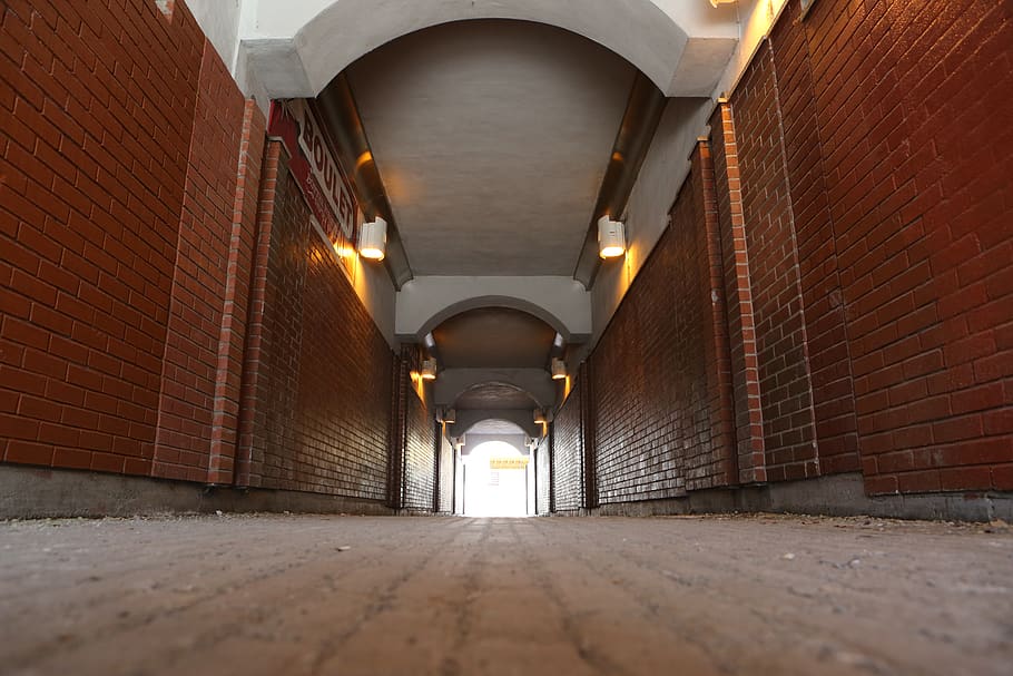 the way forward, architecture, direction, built structure, illuminated HD wallpaper