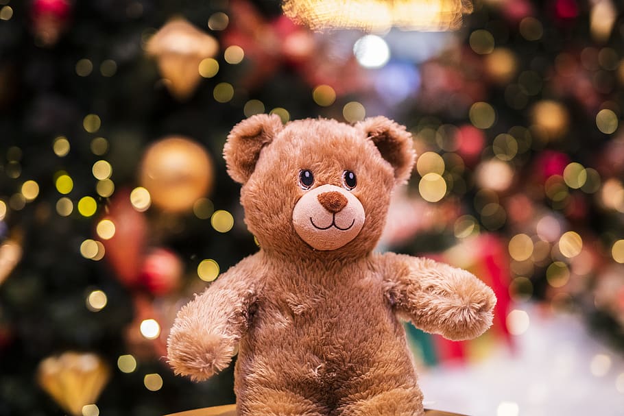 brown bear plush toy, stuffed toy, teddy bear, representation HD wallpaper