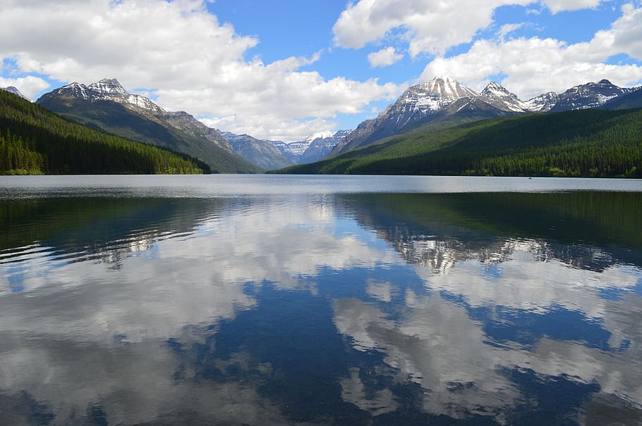 Lake, adventure, calm, clouds, conifer, daylight, forest, fun HD wallpaper