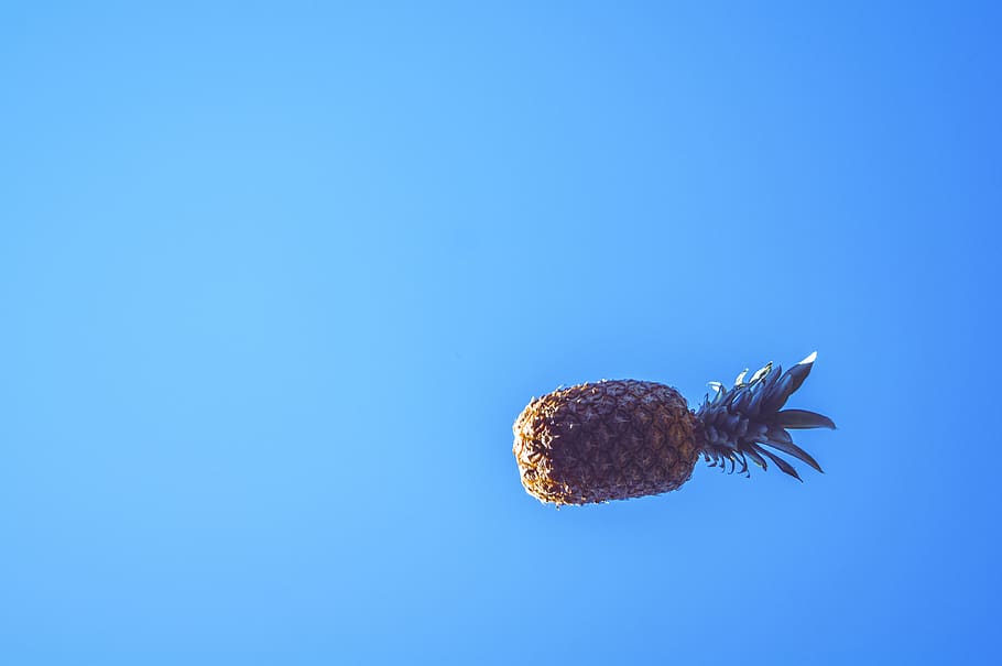 pineapple, sky, blue, yellow, gold, fruit, plant, spring, summer HD wallpaper