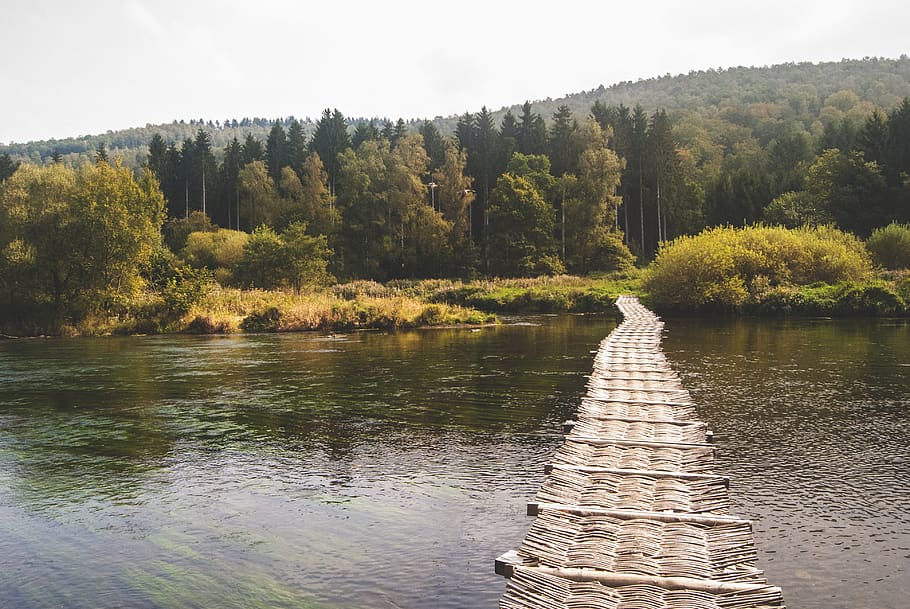 Pathway in Body of Water With Background of Forest, bridge, nature HD wallpaper