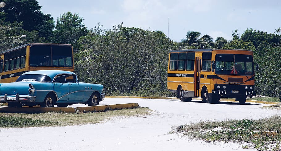 cuba, land vehicle, mode of transportation, plant, day, nature HD wallpaper