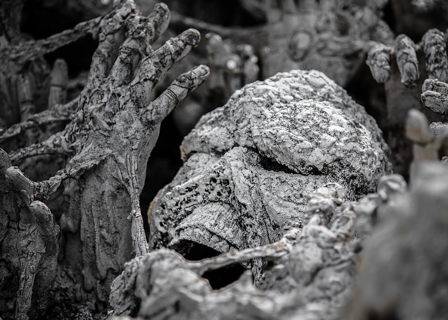 concrete covered skeleton, selective focus, close-up, textured HD wallpaper
