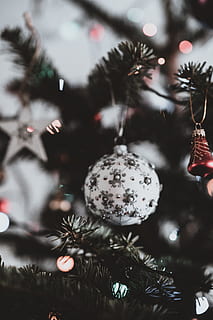white bauble ball, plant, tree, ornament, christmas tree, abies HD wallpaper