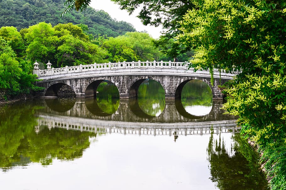 korea, daegu, river, forest, cathedral wrong, reflection, connection, HD wallpaper
