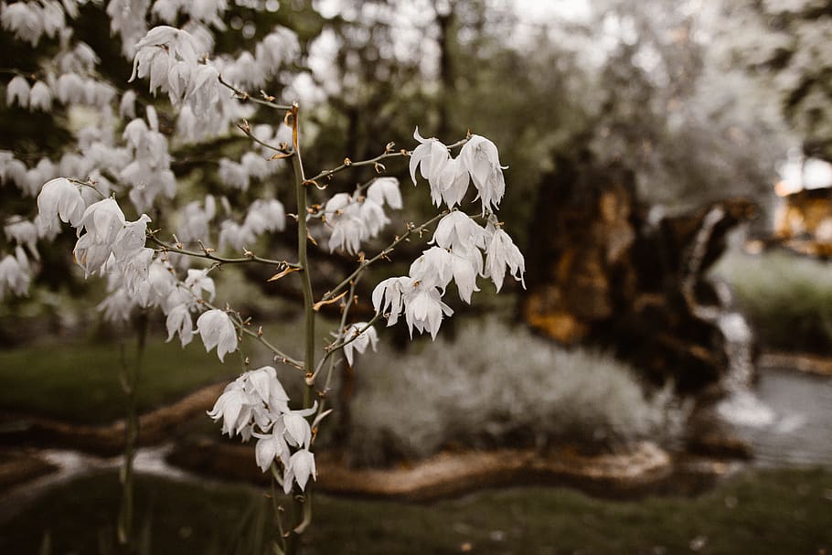 life, dulll, archipelago, tribe, vsco, vintage, romania, tecuci HD wallpaper