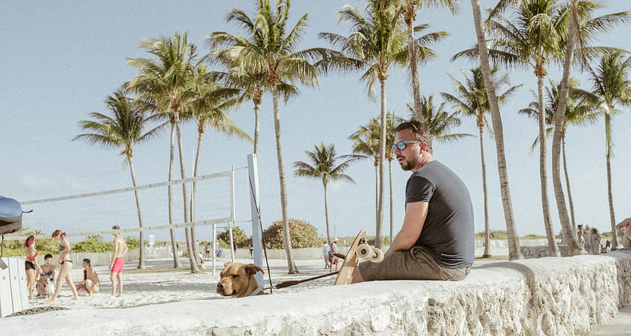 man sitting on bench, human, person, pet, canine, animal, mammal HD wallpaper