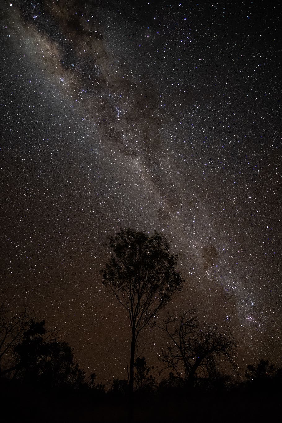 bare tree, space, star - space, night, astronomy, sky, galaxy HD wallpaper