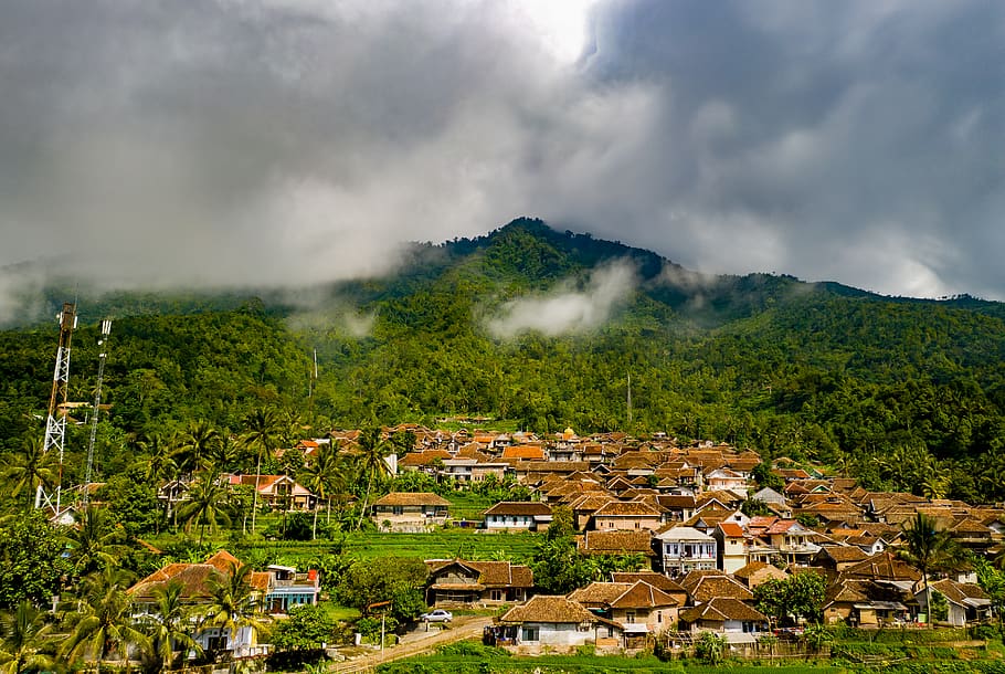 Houses Surrounded by Trees, architecture, buildings, clouds, cloudy HD wallpaper
