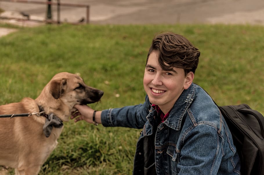 Man Wearing Blue Denim Jacket, animal, backpack, canine, close-up HD wallpaper