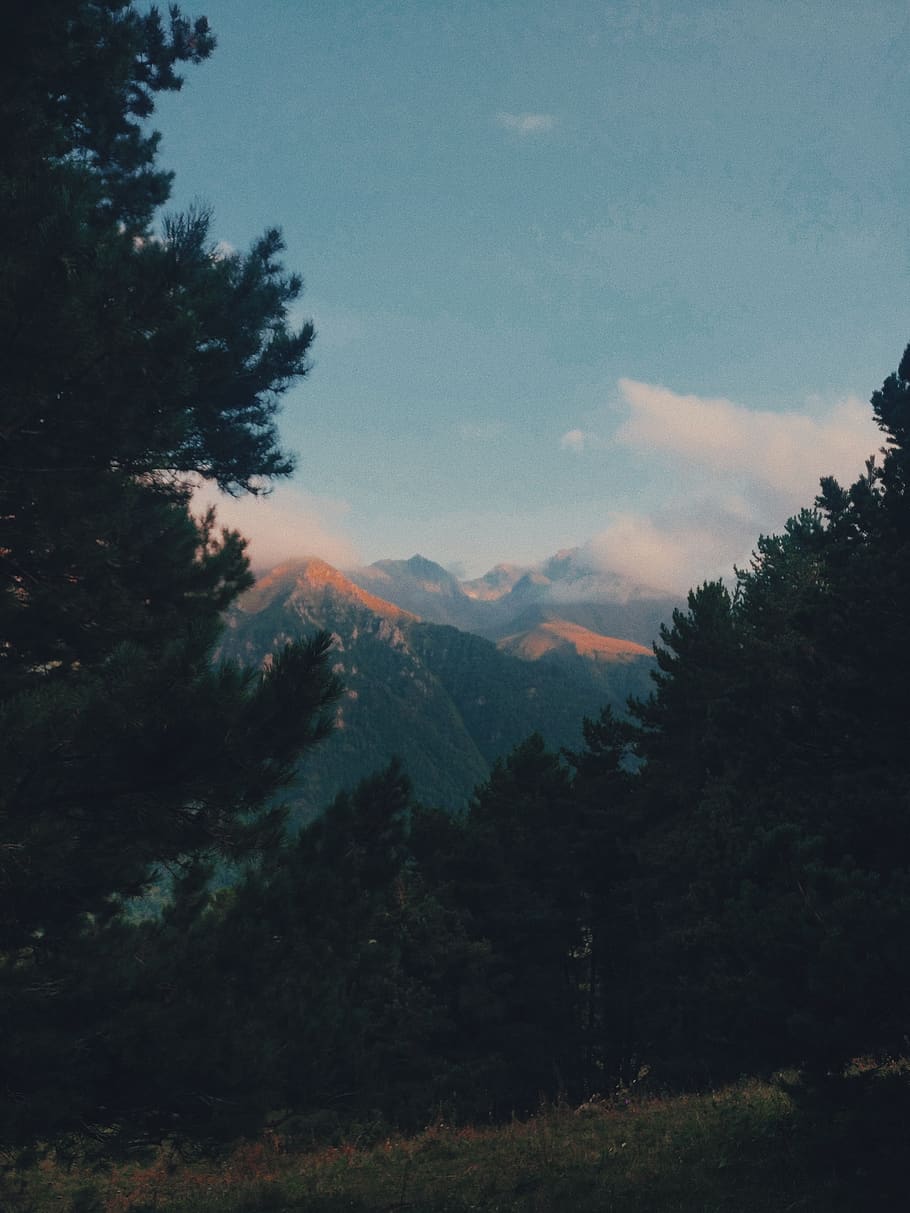 trees, camp, mountains, sunset, pink, outdoor, outdoors plant HD wallpaper