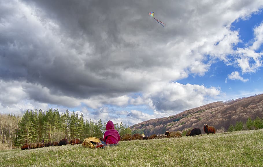 boy, kite, stormy, innocent, kid, fun, outside, happiness, wind HD wallpaper