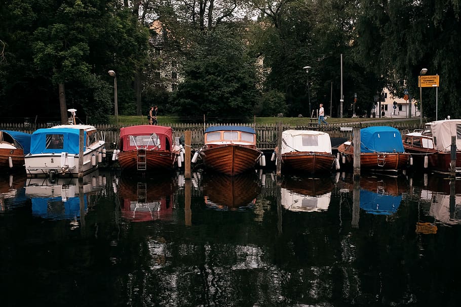 trees, boats, water, harbour, reflection, waterfront, plant HD wallpaper