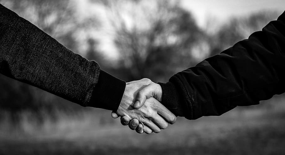 handshake, shaking hands, welcome, arrange, some, agree, harmony HD wallpaper