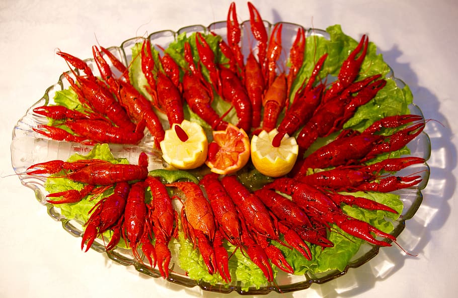 crayfish, delicious, power, eat, tasty, kitchen, seafood, freshness HD wallpaper