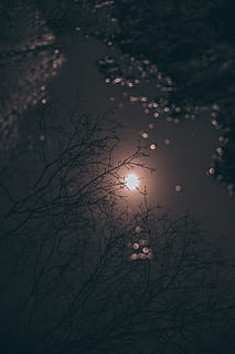 nature, outdoors, night, outer space, universe, moon, astronomy HD wallpaper