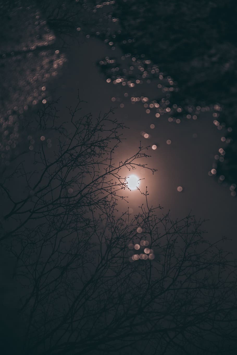 nature, outdoors, night, outer space, universe, moon, astronomy HD wallpaper