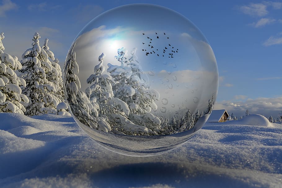 manipulation, winter, landscape, snow, glass, birds, cold temperature HD wallpaper