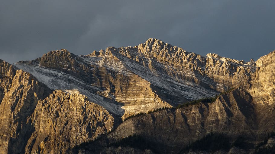 canada, canmore, trees, rock, rocks, nature, outdoor, alberta HD wallpaper