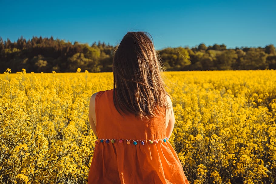 Photo of Woman Looking at a Flower Field., back view, flora, flowers HD wallpaper