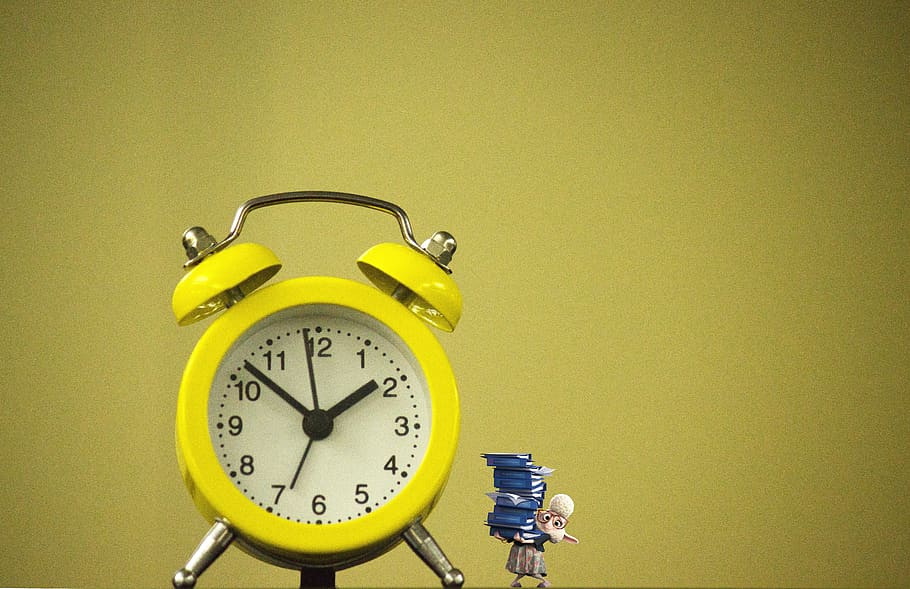 clock, time, seconds, dial, timepiece, minute, hours, business HD wallpaper
