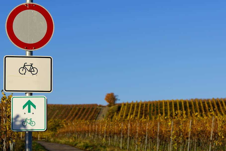 bicycle path, shield, characters, symbol, fall foliage, autumn colours HD wallpaper