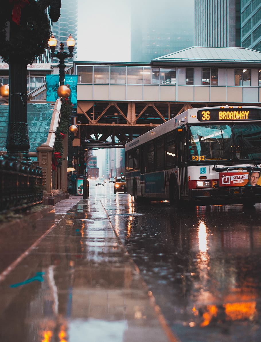 Bus On Road, city, rain, street, transportation system, urban HD wallpaper