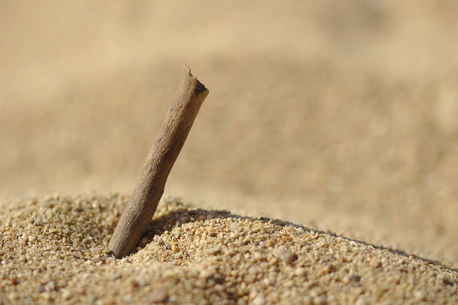 sand, great, beach, holiday, nature, coast, seaside, landscape HD wallpaper