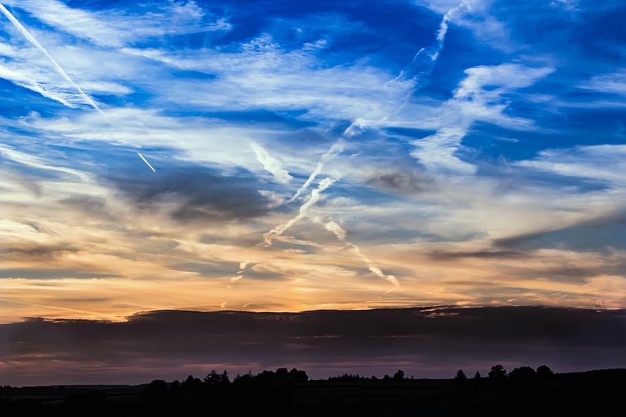 Silhouette of Trees Under Blue Sky, clouds, idyllic, landscape HD wallpaper
