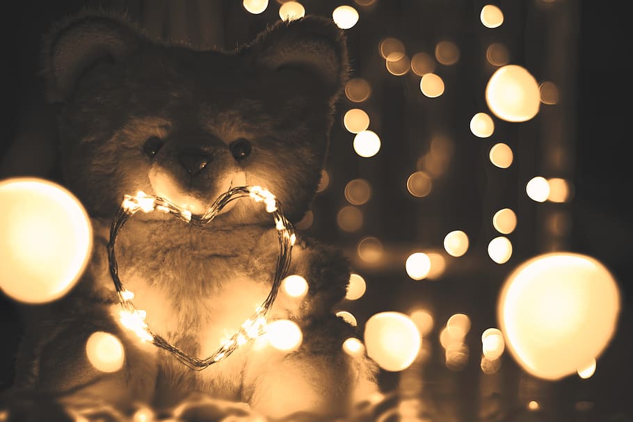 Gray Animal Plush Toy, dark, heart, illuminated, lights, string lights HD wallpaper