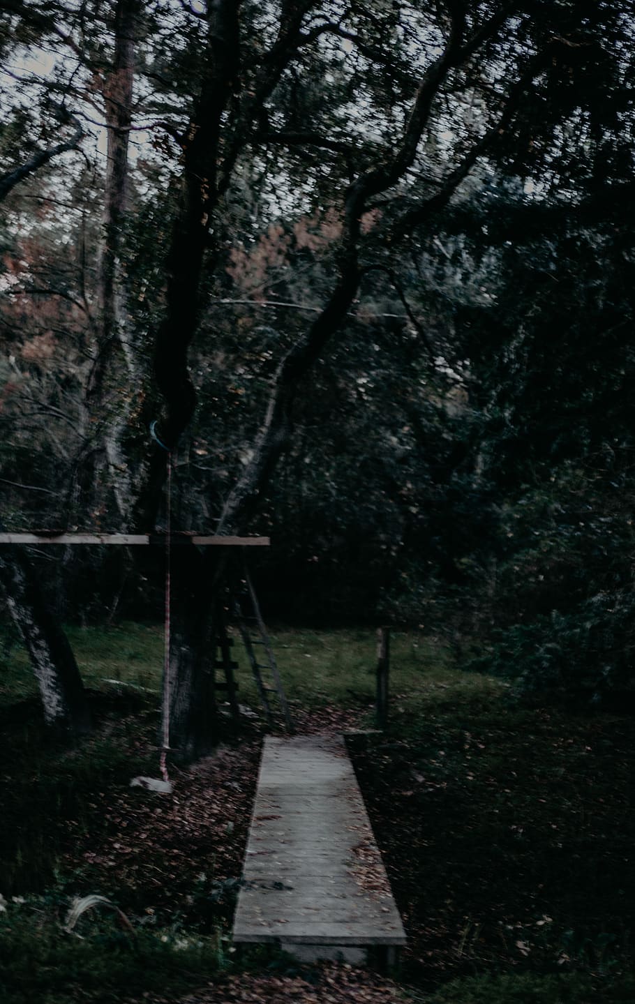 backyard, forest, fall, treehouse, bridge, plant, the way forward HD wallpaper