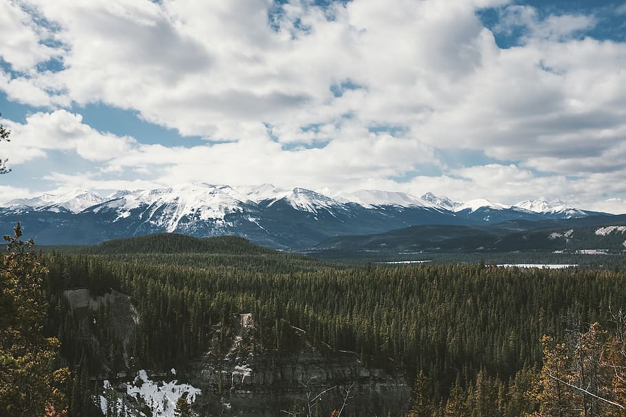 tree, mountain, rocky mountain, snow, winter, north, west coast HD wallpaper