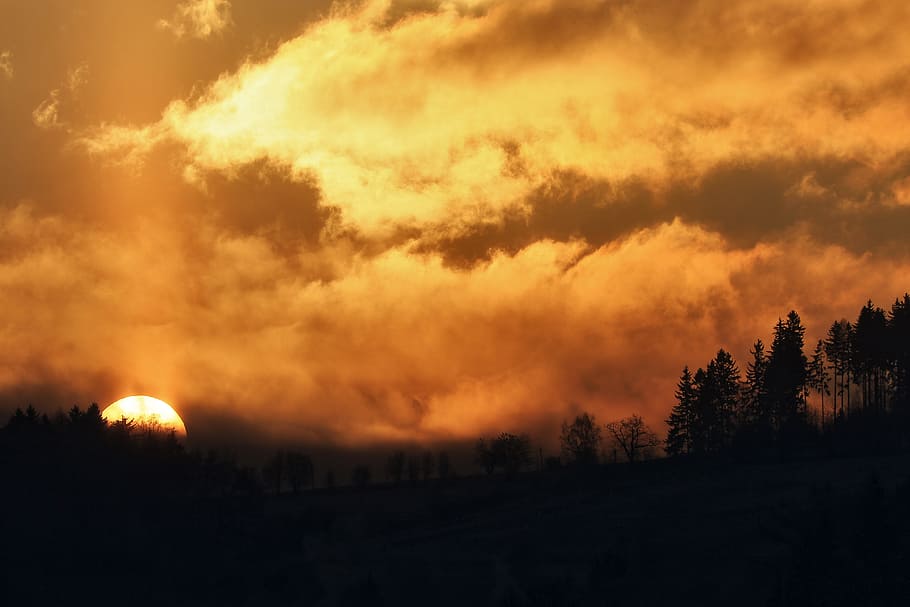 Silhouette Photo of Trees during Sunset, clouds, landscape, morning HD wallpaper
