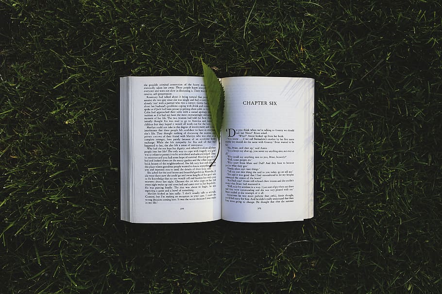 Book: chapter six, book pages, dark, dawn, education, environment HD wallpaper