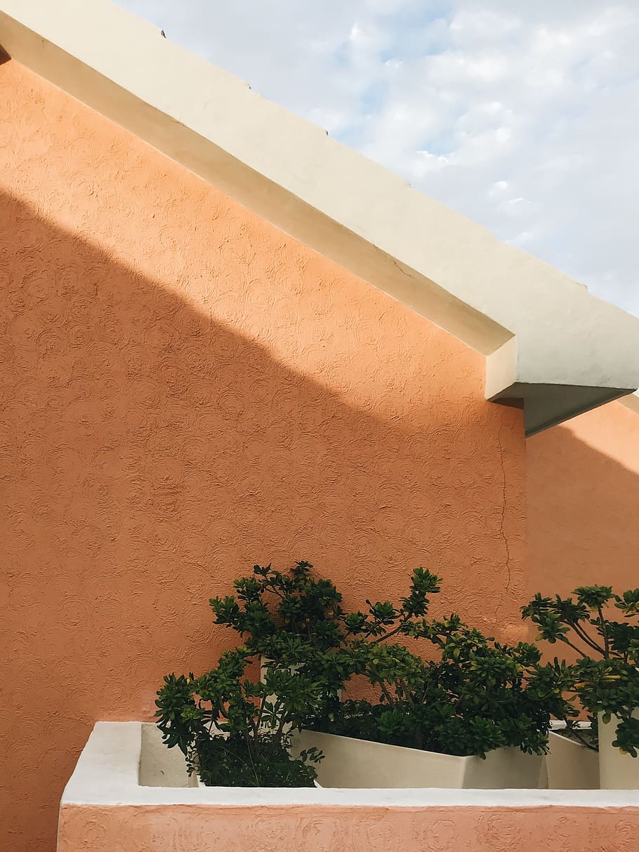 mexico, cancún, cucumate, beack, plants, wall, roof, mood HD wallpaper