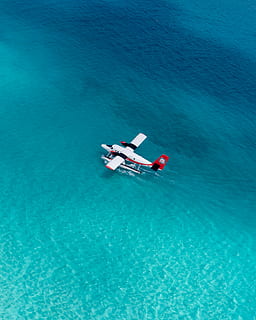 white sea plane, aircraft, transportation, airplane, vehicle HD wallpaper