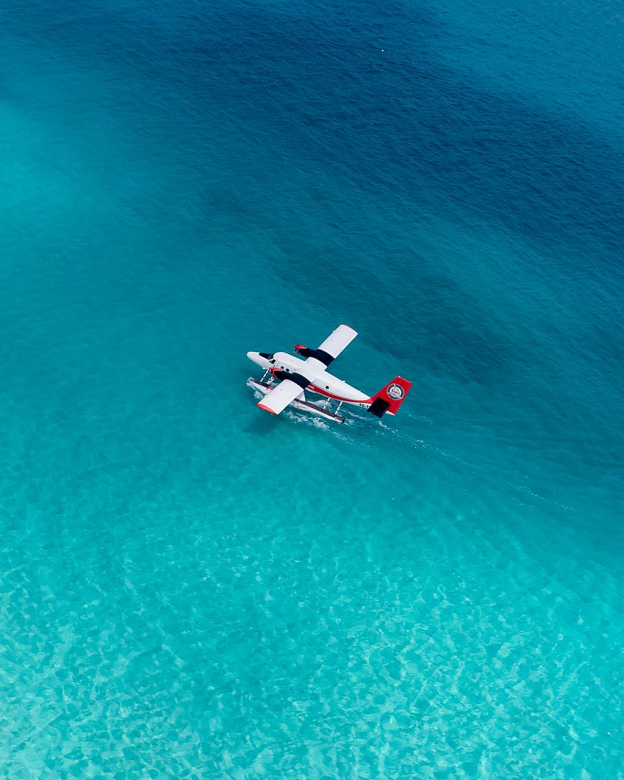 white sea plane, aircraft, transportation, airplane, vehicle HD wallpaper