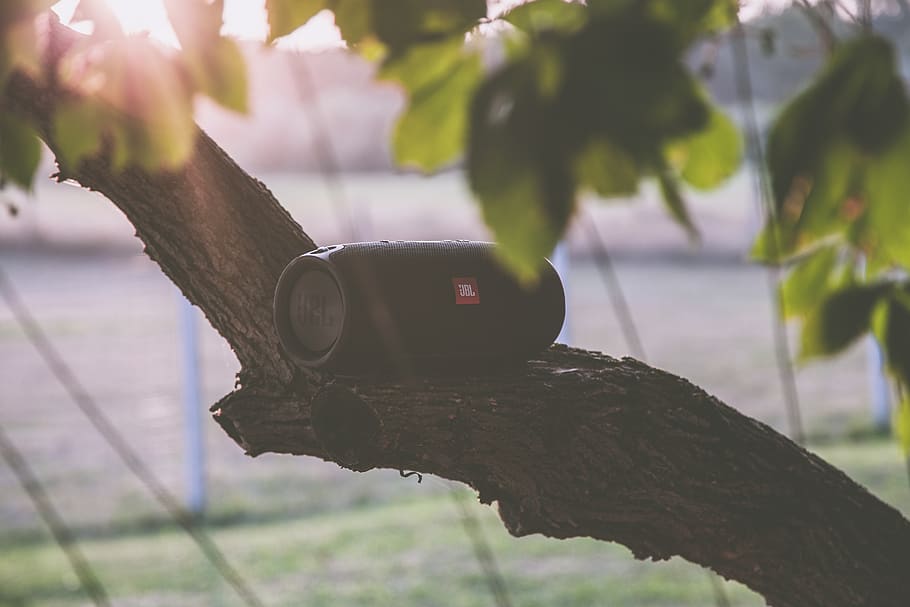 Black Jbl Bluetooth Speaker on Tree Branch, blur, colors, electronic HD wallpaper
