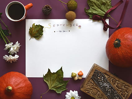 september, planning, to-do, list, autumn, fall, season, organizer HD wallpaper