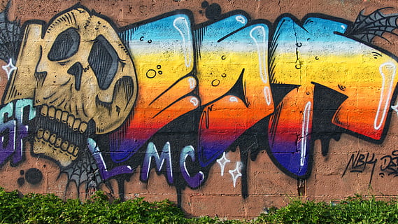 brown skull graffiti, wall, art, pomponne, 30 le bas de la riviere HD wallpaper