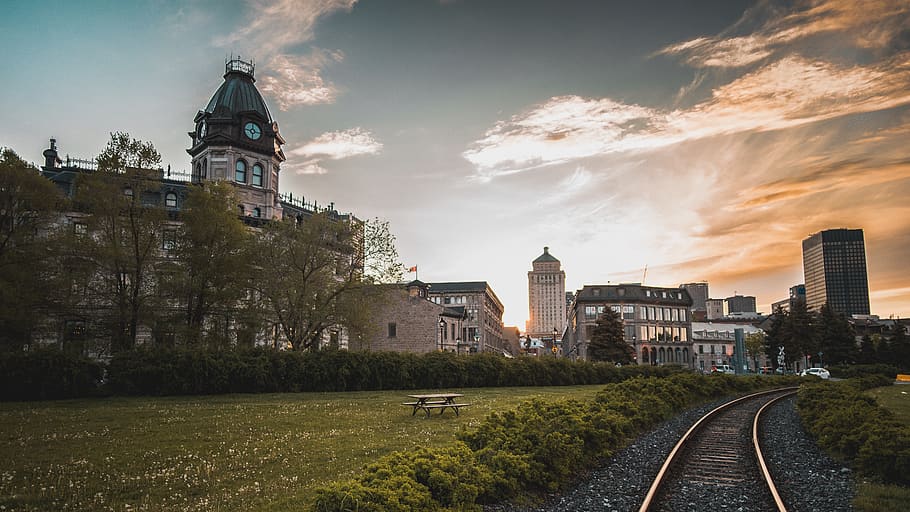 railroad, track, train, green, grass, field, outdoor, trees HD wallpaper